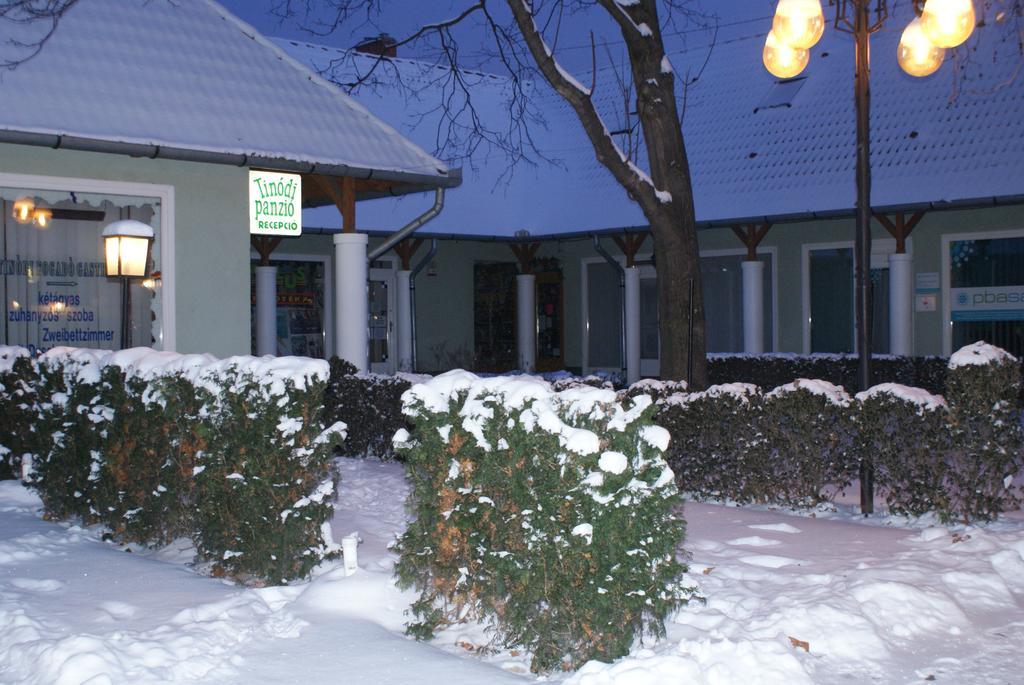 Tinodi Fogado Bed & Breakfast Sarvar Luaran gambar
