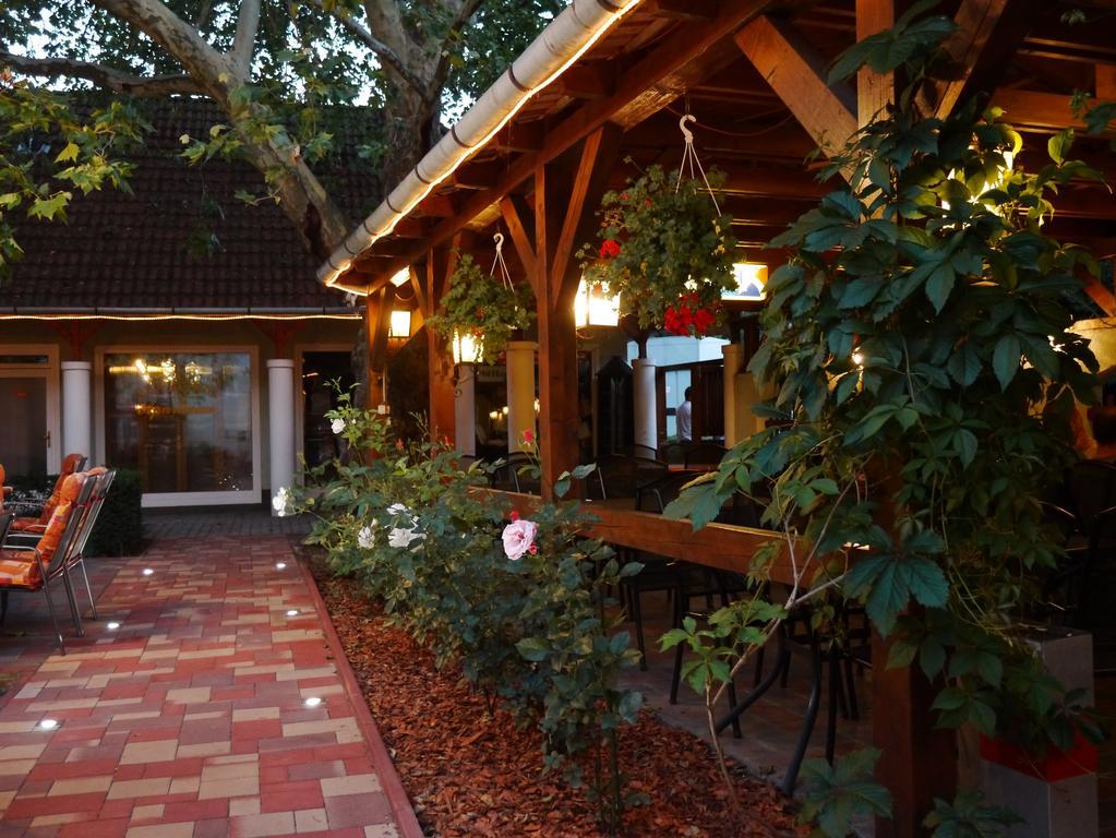 Tinodi Fogado Bed & Breakfast Sarvar Luaran gambar